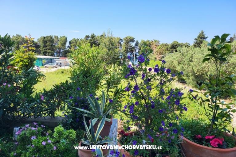 Apartmány IKO - Tučepi – foto 20