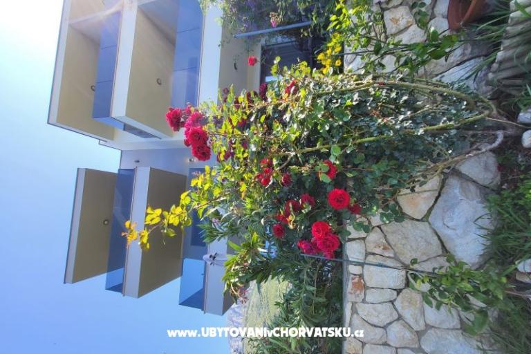 Apartmány IKO - Tučepi – foto 21