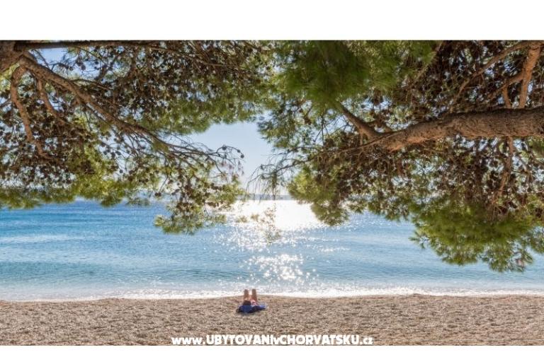 Apartmány Malina i Krsto – foto 15