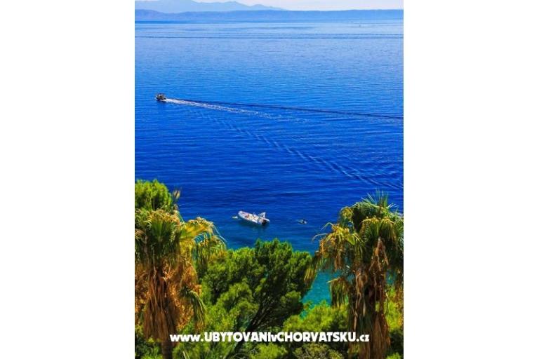 Apartmány Malina i Krsto – foto 5