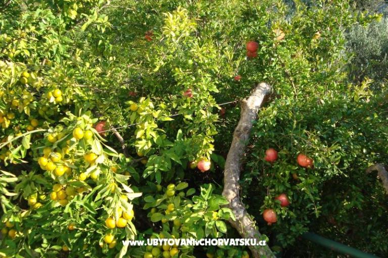 Apartmány Čović – foto 12