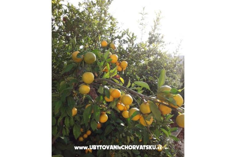 Apartmány Čović – foto 14