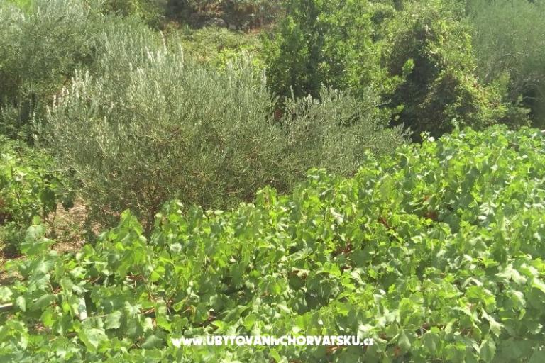 Apartmány Čović – foto 16