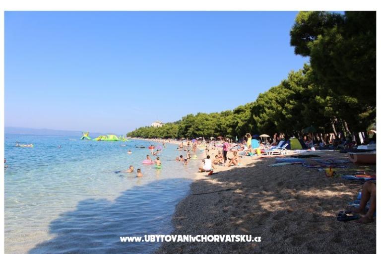 Apartmány Vesna - Dom Covic – foto 10