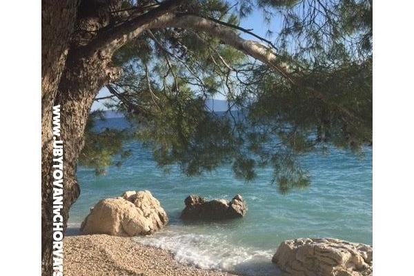 Apartmány Vesna - Dom Covic – foto 18