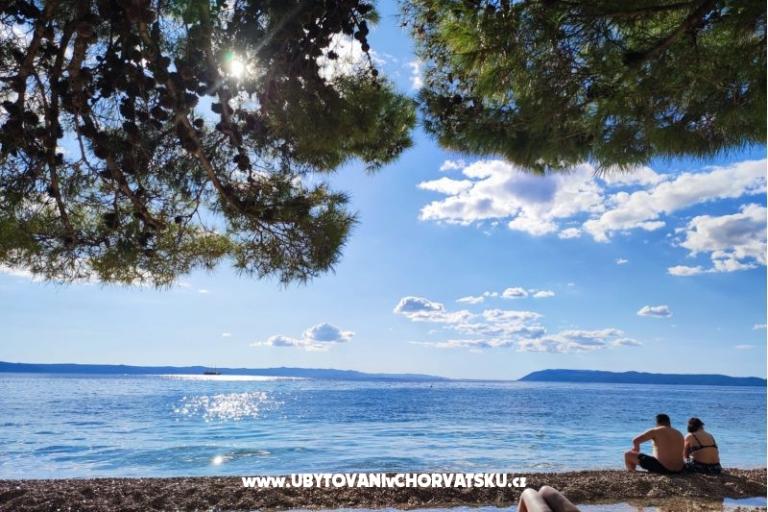 Apartmány Vesna - Dom Covic – foto 9