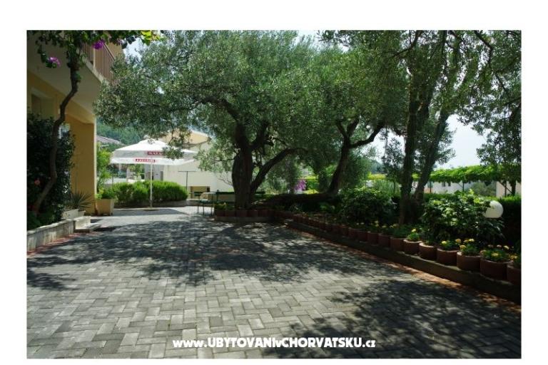 Villa Jedini – foto 9
