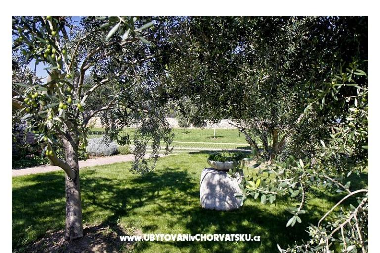 Apartmány Benic – foto 5