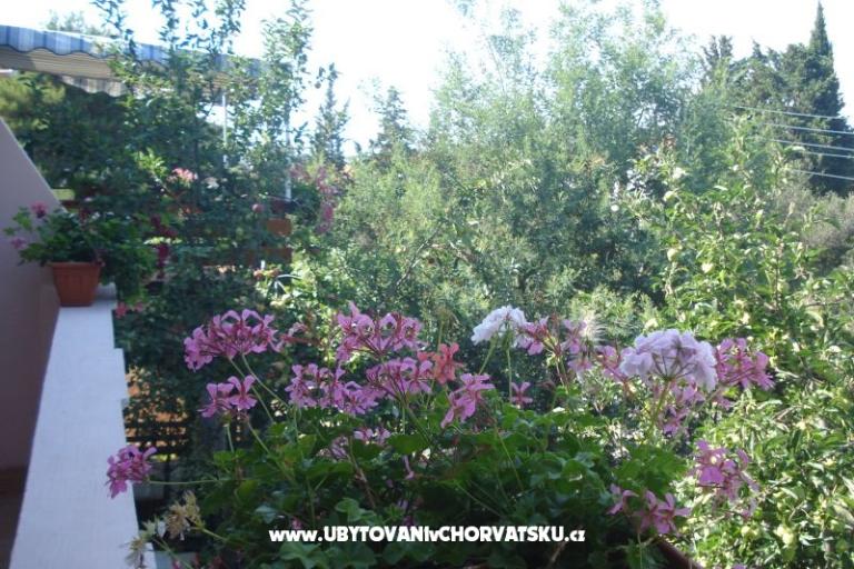 Apartmány Branko Vidaković – foto 8
