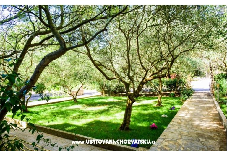 Apartmány Mrva – foto 4