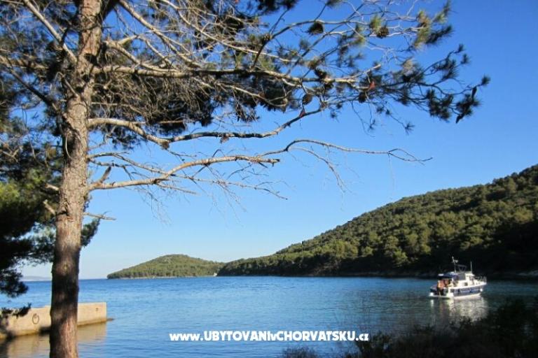 Apartmány Sunrise  Kali – foto 10