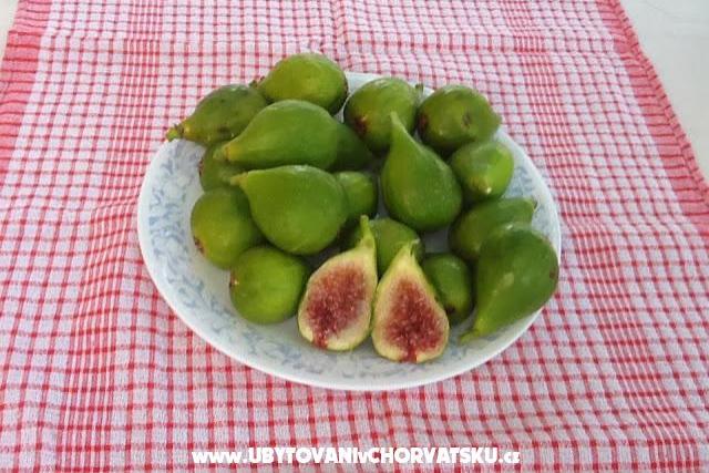 Villa Tesna – foto 15