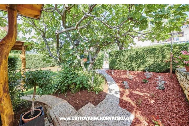 Apartmány Boris – foto 5