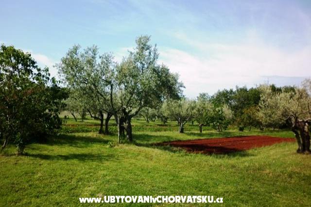 Apartmány Linda – foto 3