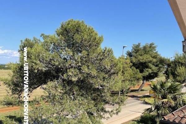 Apartmány Maris  – foto 7