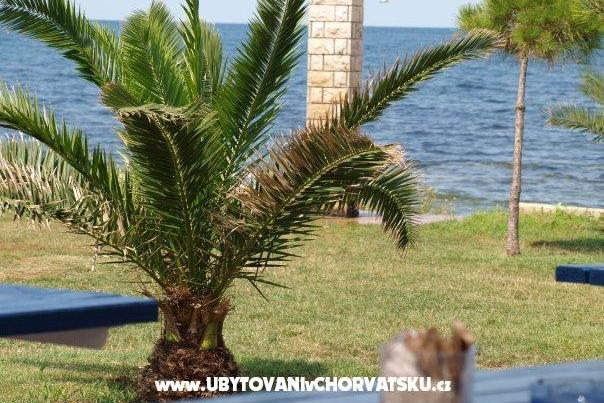 Apartmány Nevenka – foto 11