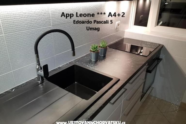 App Leone – foto 3