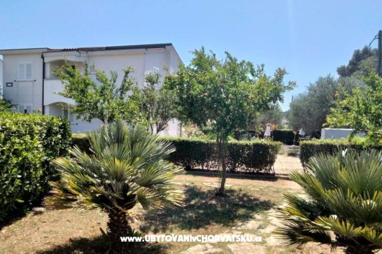 Apartmány Budija / Viola – foto 10