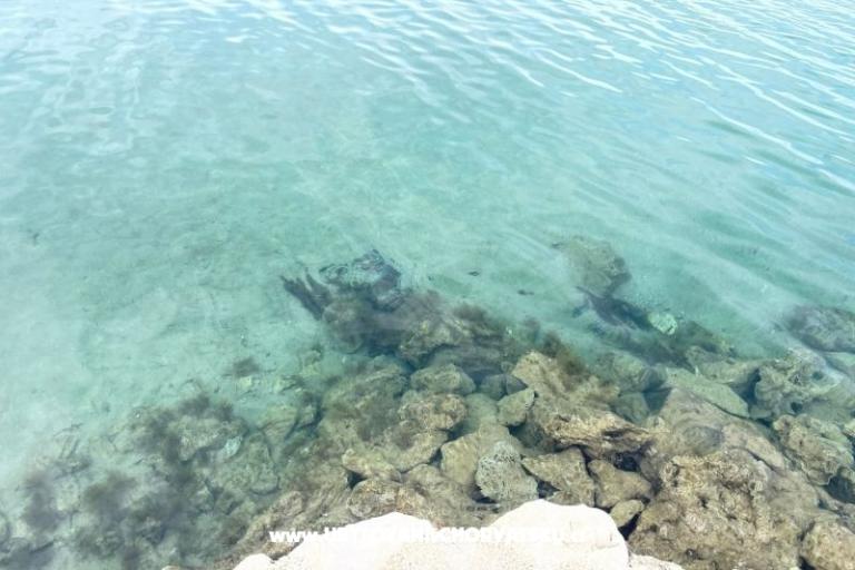 Apartmány Budija / Viola – foto 13