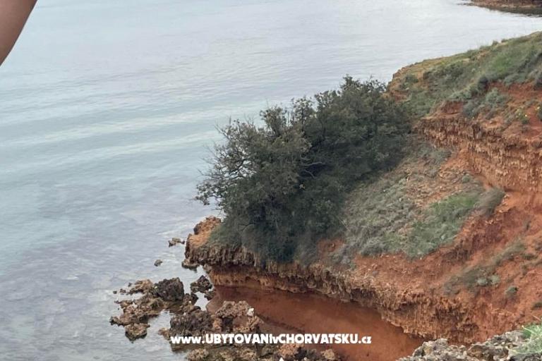 Apartmány Budija / Viola – foto 16