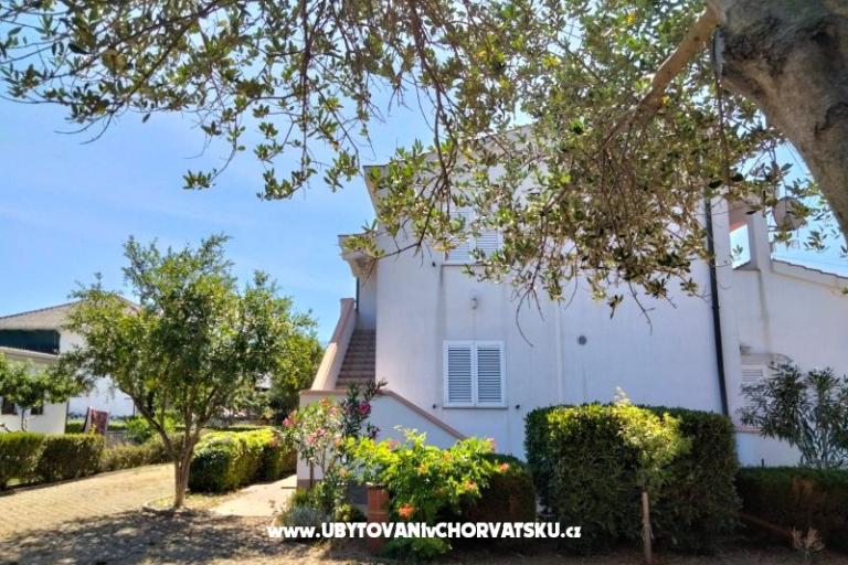 Apartmány Budija / Viola – foto 2