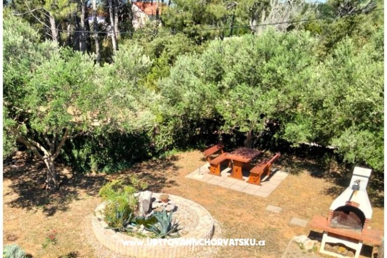 Apartmány Budija / Viola – foto 3