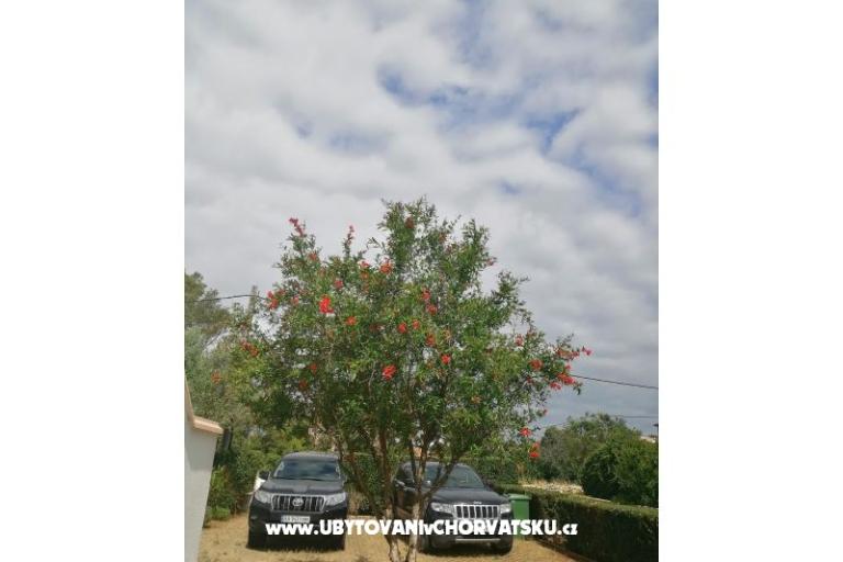 Apartmány Budija / Viola – foto 9