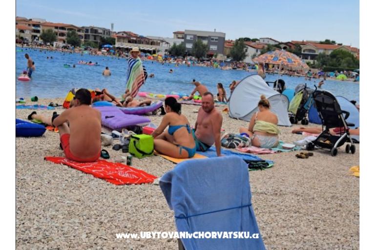Apartmány Dalija  Vir – foto 18