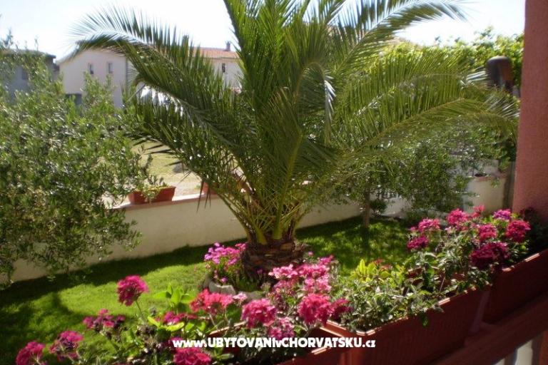 Apartmány Kantoci – foto 12