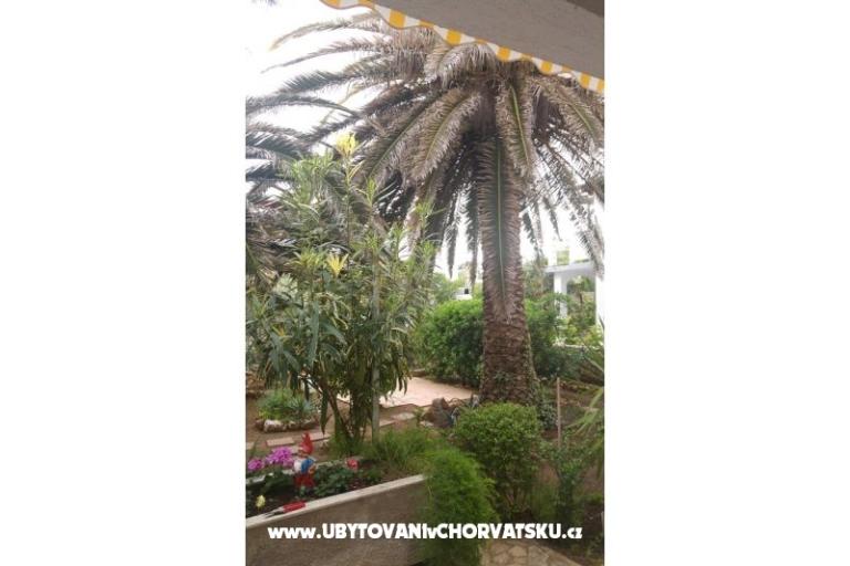 Apartmány Milka Vir – foto 7