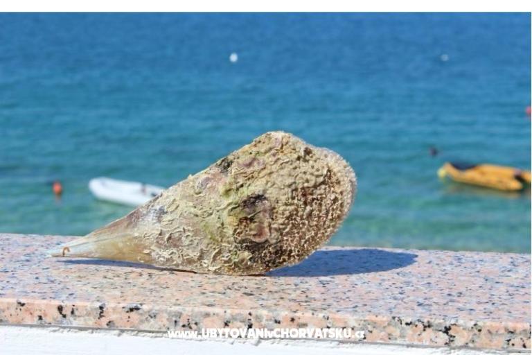 Apartmány Por – foto 2