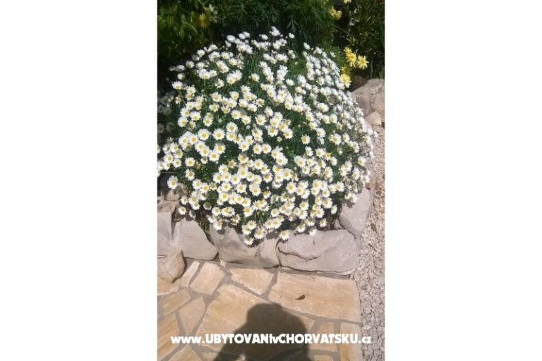 Apartmány Štefanija – foto 11