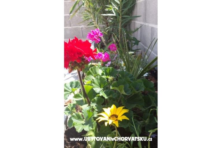Apartmány Maja – foto 14