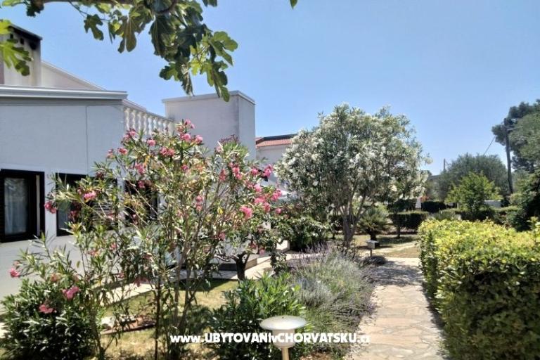 Apartmány Budija / Lavanda – foto 2