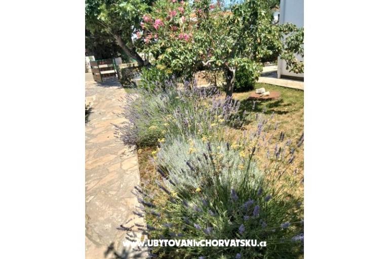 Apartmány Budija / Lavanda – foto 4