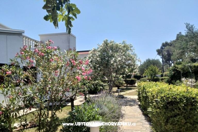 Apartmány Budija / Lavanda – foto 6