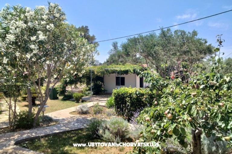 Apartmány Budija / Lavanda – foto 9