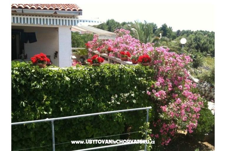 Apartmán Lučica – foto 11