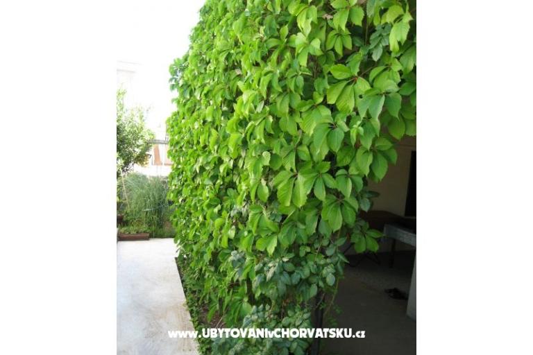 Apartmán Lučica – foto 12