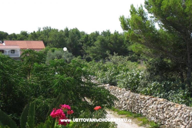 Apartmán Lučica – foto 13