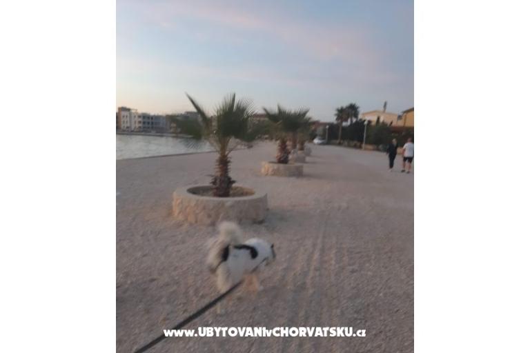 Apartmány IVA – foto 35