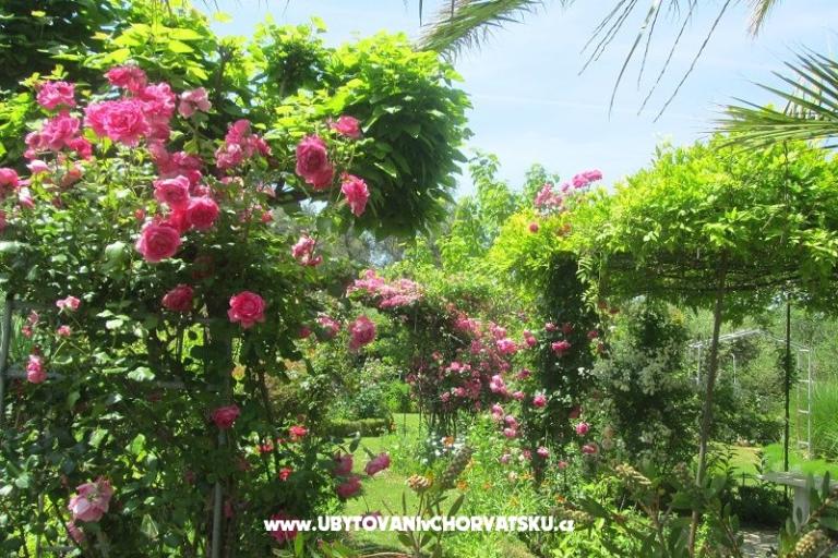 Apartmány Pavlica – foto 11