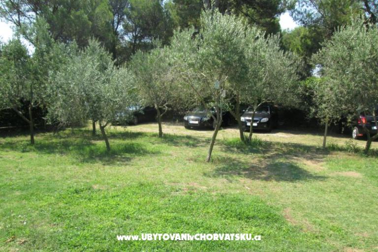 Apartmány Pavlica – foto 8