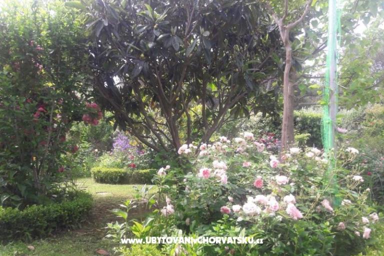 Apartmány Pavlica – foto 9