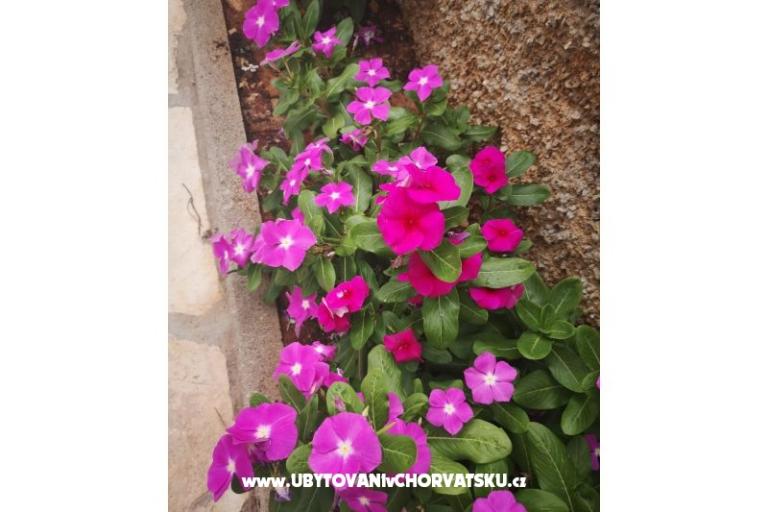 Apartmány Vlašić – foto 9