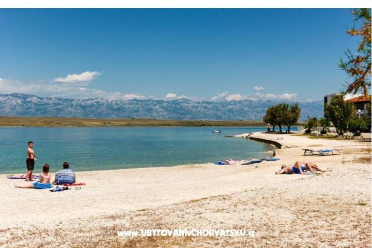 CARPE DIEM – foto 16