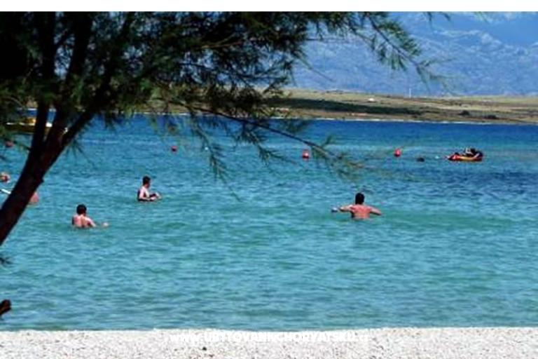 CARPE DIEM – foto 3