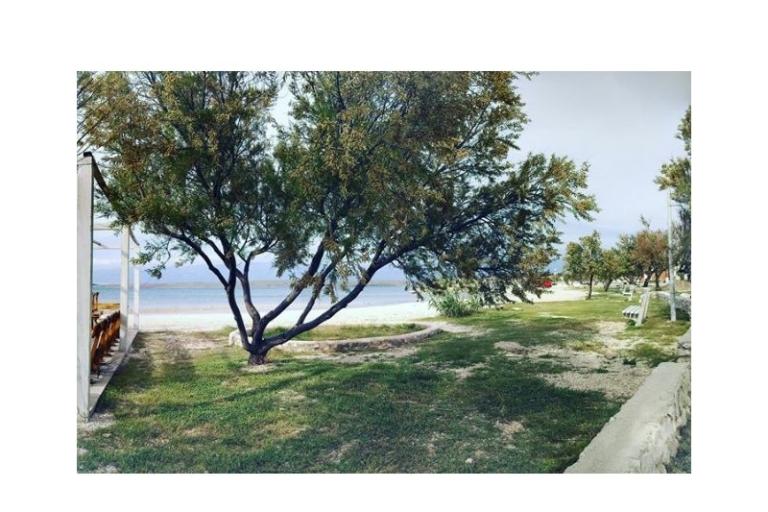 Dom Aqualis – foto 6