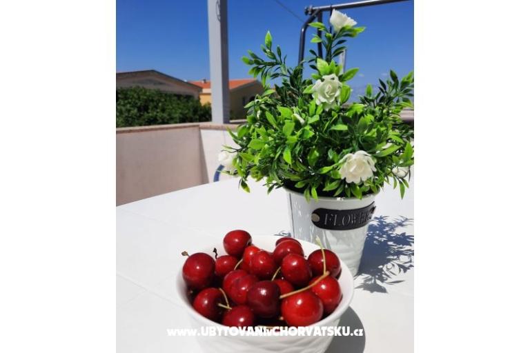 Nedić Apartmány – foto 8