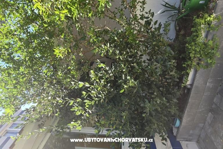 Sunset Paradise Apartmány Vir – foto 57